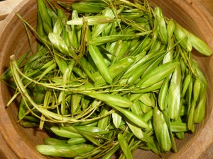 Ash keys, ready for preparation.