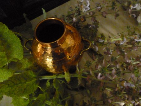 First, I stripped the clary sage leaves and flowers from the stem and packed them into the pot...