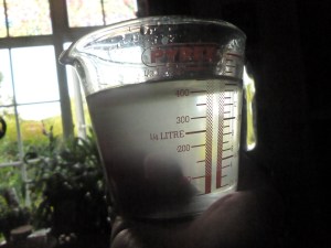 The resulting liquid, after about 45 minutes, is a stunning luminescent potion of strong fragrance.  Just gorgeous!