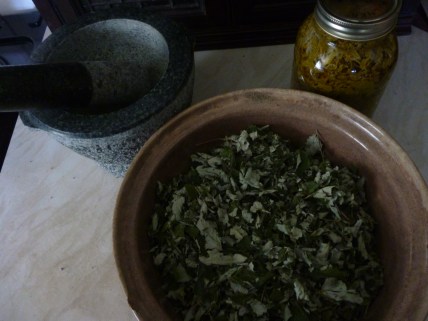 All ready to go, with the now defunct mortar and pestle next to it...