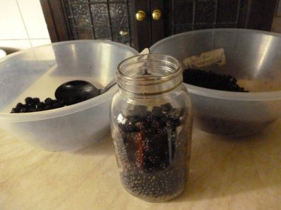 Elderberries and Blackberries packed in a jar, awaiting honey and brandy...