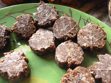 Vegan Nut, Coconut & Cacao Leaves