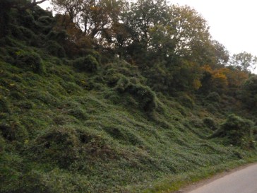 A gown for a sleeping giantess