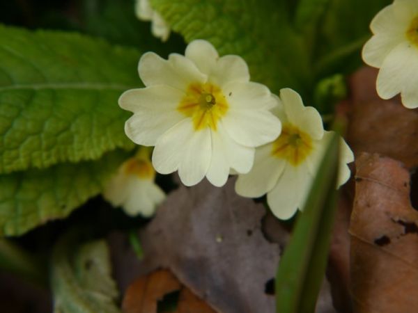 Confessions and Musings (Trigger&nbsp;warning)